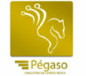 Pegaso Consultoria