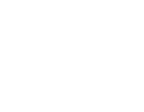 pegaso_logo_1_A